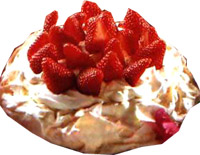 pavlova